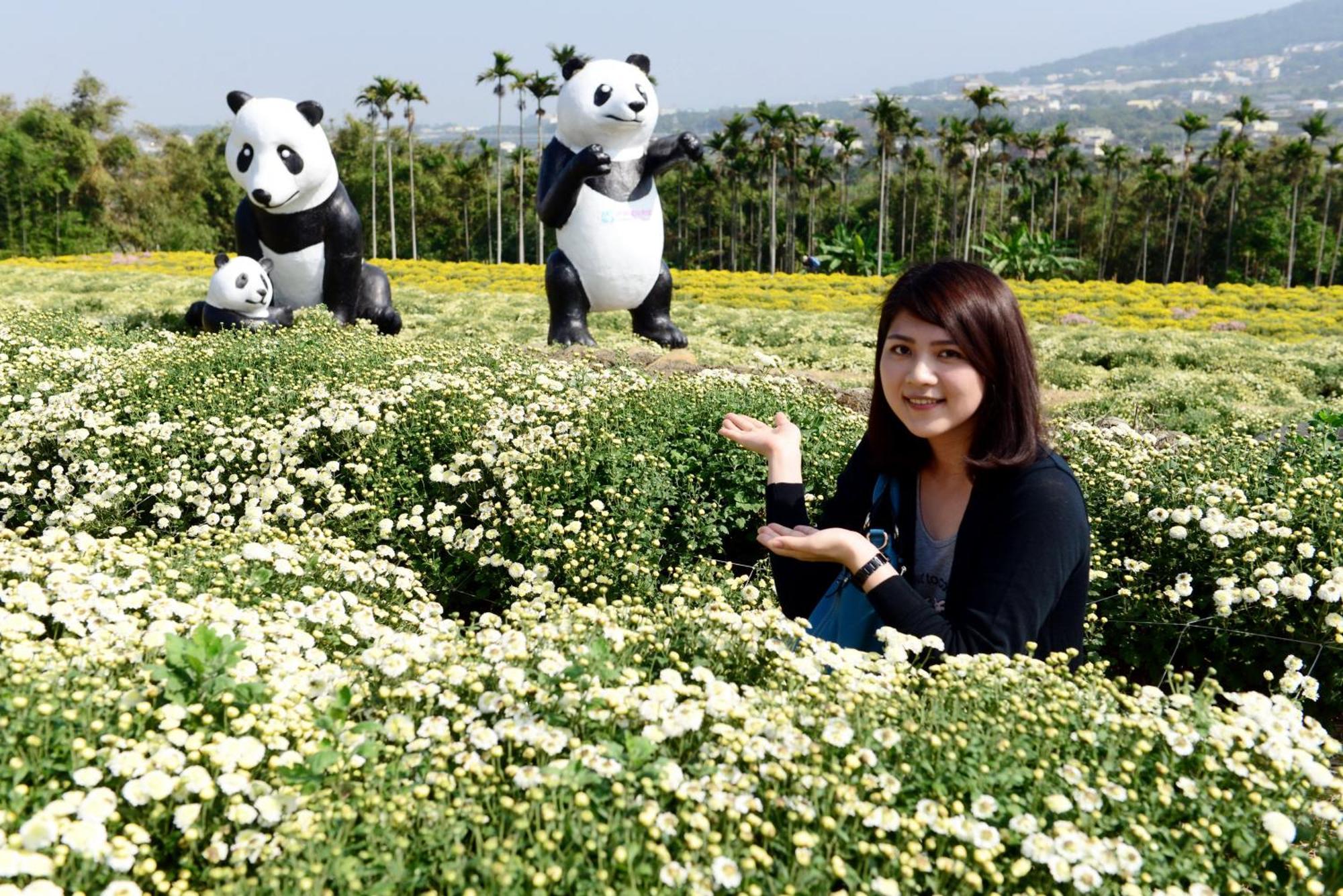 Miaoli Sanyi Shantongyazhu Homestay Buitenkant foto